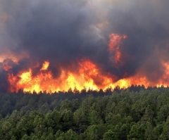 Colorado's Most Destructive Wildfire Kills 2, Burns Over 400 Houses; Likely Caused by Humans