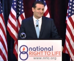 Sen. Ted Cruz Blasts Pro-Abortion Protesters and Gang of Eight's Immigration Reform Bill