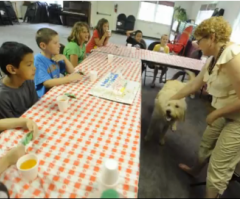 How a Dog Called Obi Changed a Pennsylvania Church and Its Community