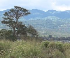 Hawaii Megachurch in Oahu Hoping to Move, Expand New Property